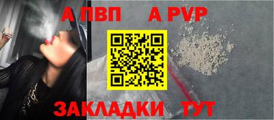 крисы Малгобек