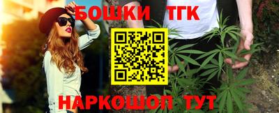 крисы Малгобек