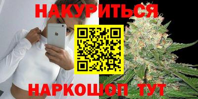 крисы Малгобек