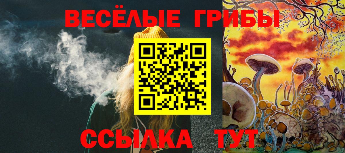 Галлюциногенные грибы Cubensis  купить наркотики цена  Черногорск  Вход с VPN 
